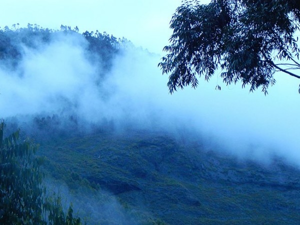 വട്ടവട വഴിയിലെ കാഴ്ചകൾ