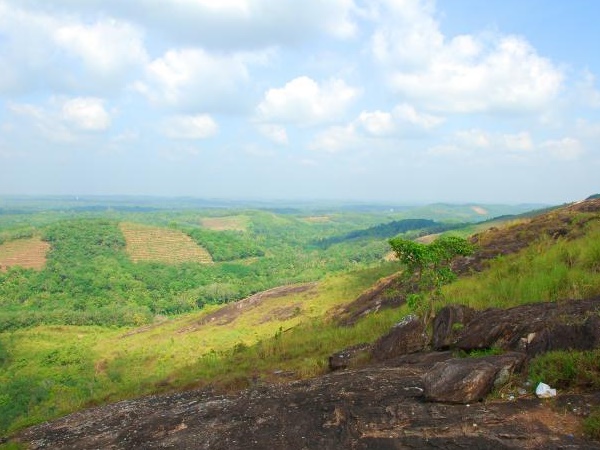 വെള്ളാനിക്കൽ പാറ
