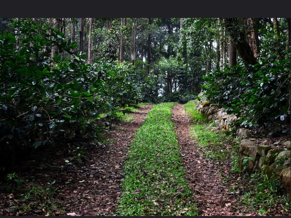 വ്യത്യസ്ത തമിഴ് രുചികളറിയാൻ യേർക്കാട്
