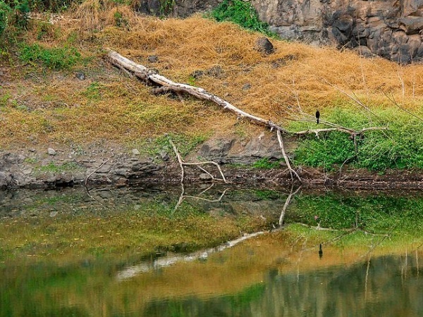 നഗരനടുവിലെ വന്യജീവി സങ്കേതം
