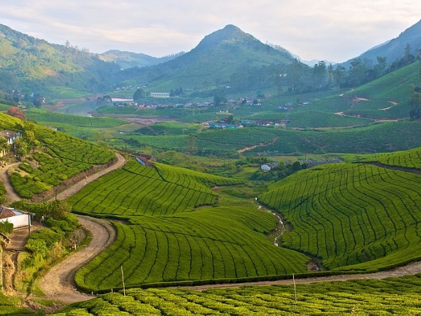 ഇവിടെ നിന്നും കാണുവാന്