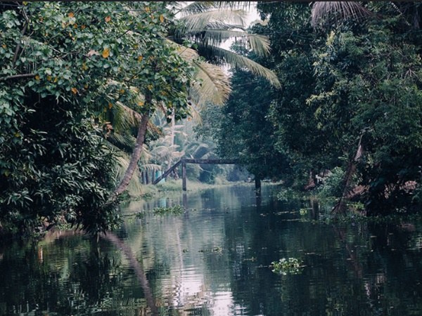 കുമരകം
