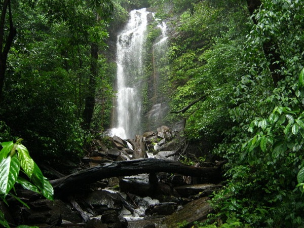 വല്ലാത്തൊരു ഓട്ടമായിപ്പോയി