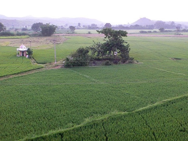 കൽപ്പതാരൂ