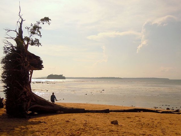 മൗണ്ട് ഹാരിയറ്റ് ദേശീയോദ്യാനം
