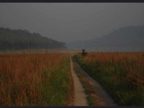 കോർബെറ്റിന്റെ പൈതൃകം