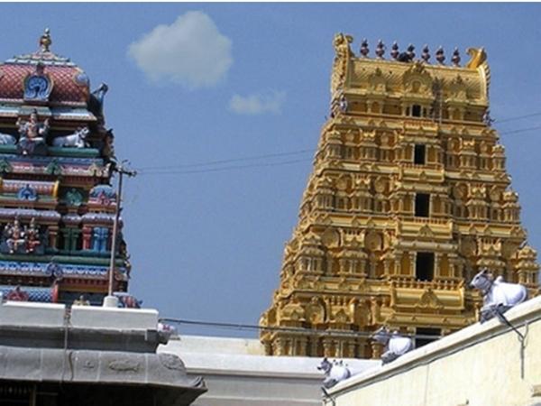 നേരിട്ടു പതിക്കുന്ന സൂര്യരശ്മികൾ