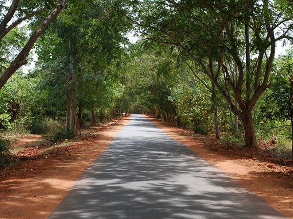 കാടുകളെ അറിയാം