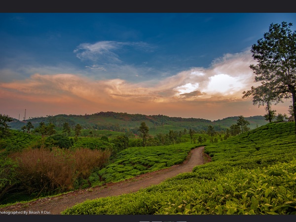 ഡോണിപോളോ എസ്റ്റേറ്റ്