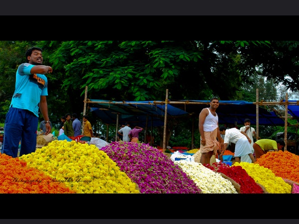കൊച്ചി
