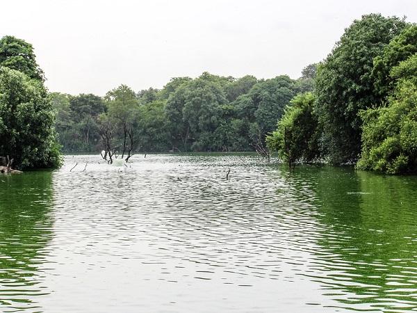 കുണ്ടാവട കാരെ
