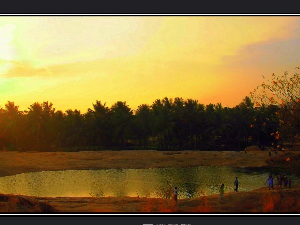 മാങ്കുളം
