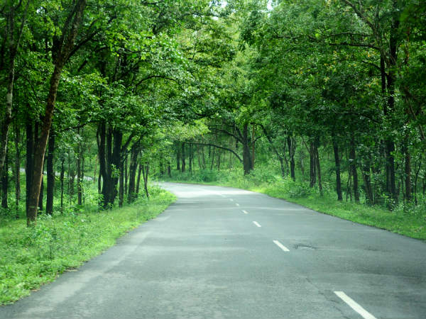 മൂന്നാർ ടു മറയൂർ