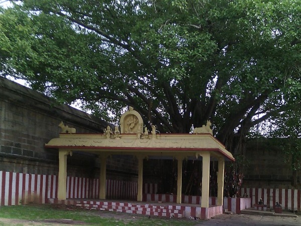 ശ്രീ വടാരാന്യേശ്വരർ ക്ഷേത്രം