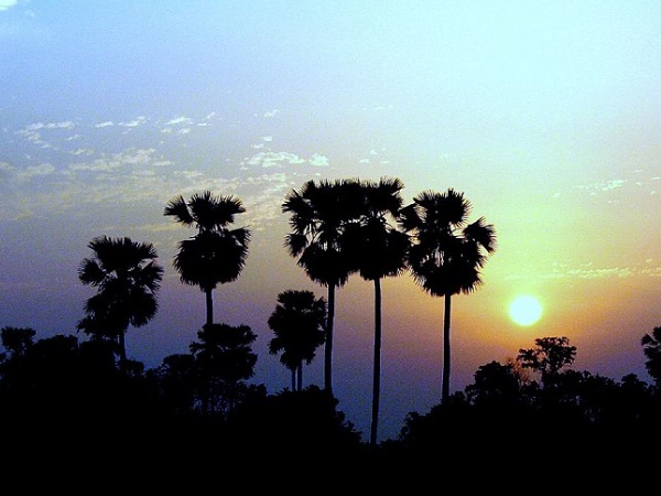 അജാതശത്രു കോട്ട
