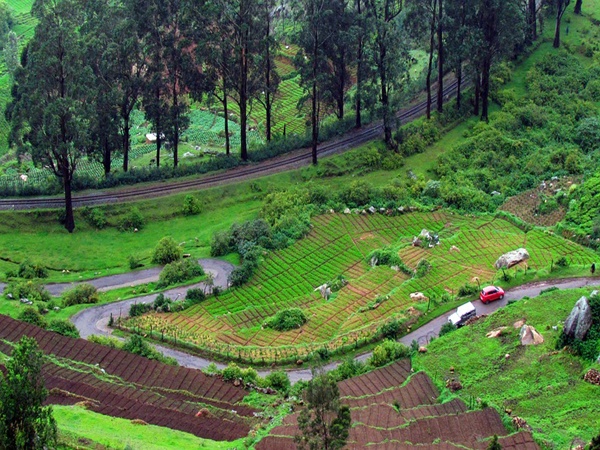 ഊട്ടി