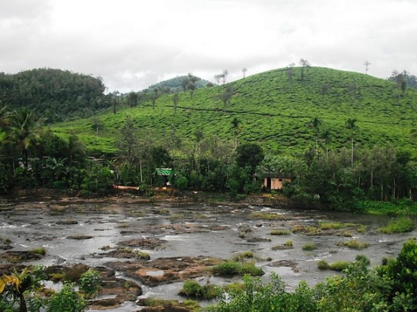 മേരികുളം