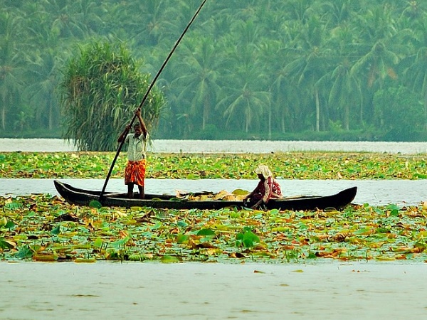 ആക്കുളം