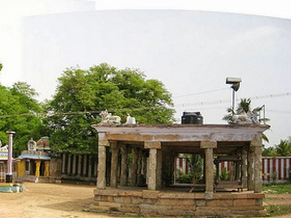 തേങ്ങയുടെ ആകൃതിലെ കല്ല്
