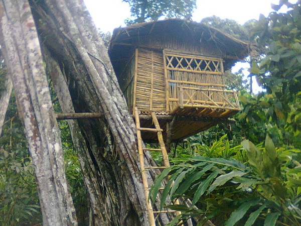 കുരുവിള സിറ്റി