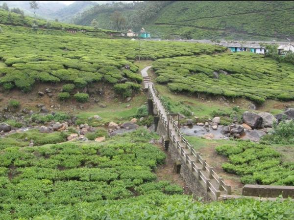 ടിക്കറ്റ് എടുക്കാൻ