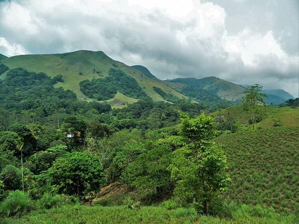 മൃതഞ്ജീവനിയുടെ കഥ