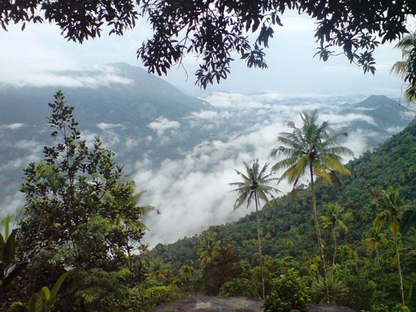 നാടുകാണി