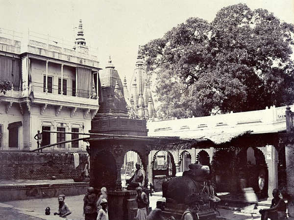വർഷം നീണ്ട നിർമ്മാണം