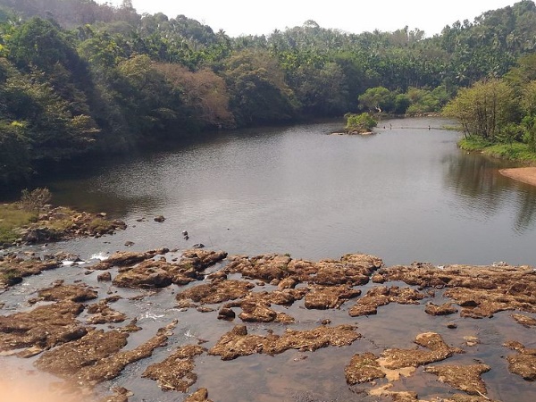 നടന്നു പോകാം