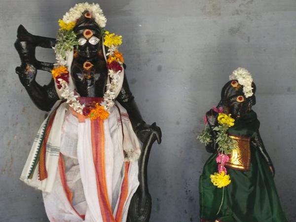 മരങ്ങൾ മുറിക്കാൻ പാടില്ല