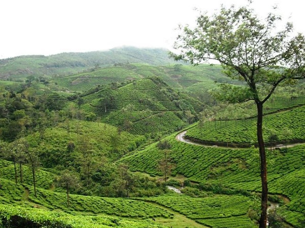 ബാലൻ പിള്ള സിറ്റി
