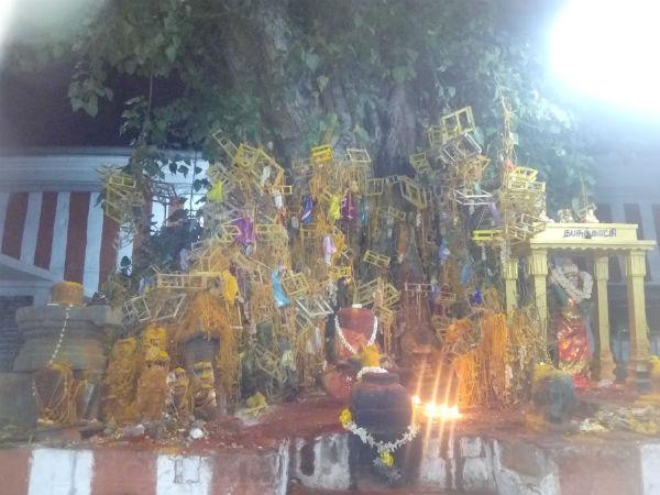സന്താനഭാഗ്യത്തിന്