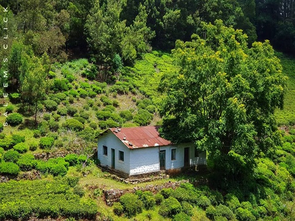 ബോട്ടാണിക്കൽ ഗാർഡൻ
