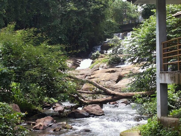 100 അടി ഉയരത്തിൽ നിന്നും