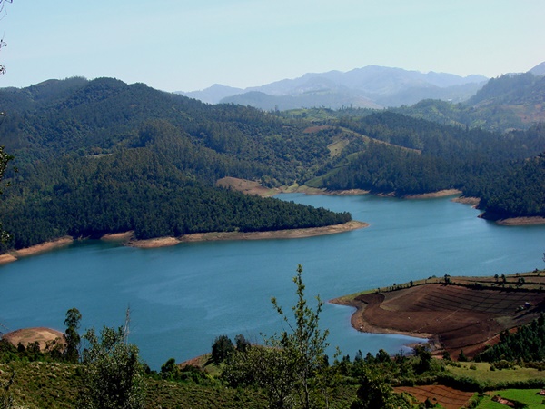 നീലഗിരി