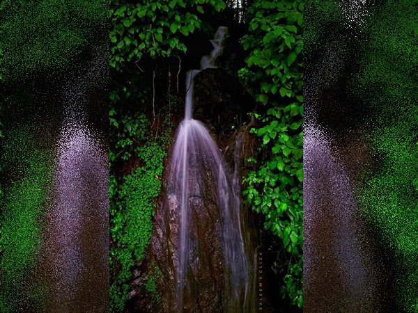 ഊട്ടിയിലേക്ക് തിരിച്ചിറക്കം