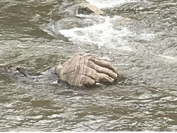 പാറയിൽ തെളിയുന്ന ദൈവകരങ്ങൾ