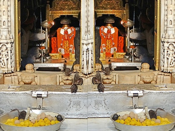 ആഘോഷങ്ങൾ