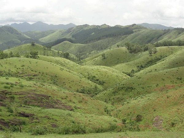 വാഗമൺ