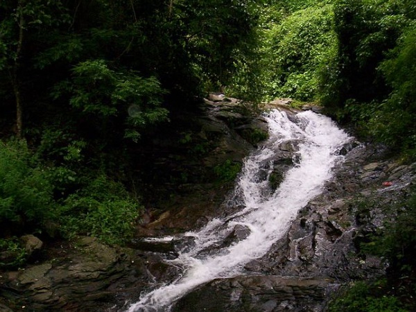നെല്ലിയാമ്പതി