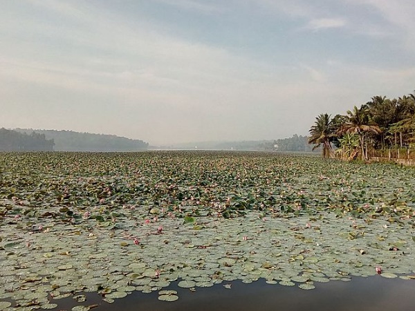 വെള്ളായണി കായൽ