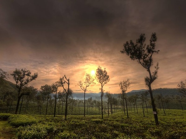 മസിനഗുഡി