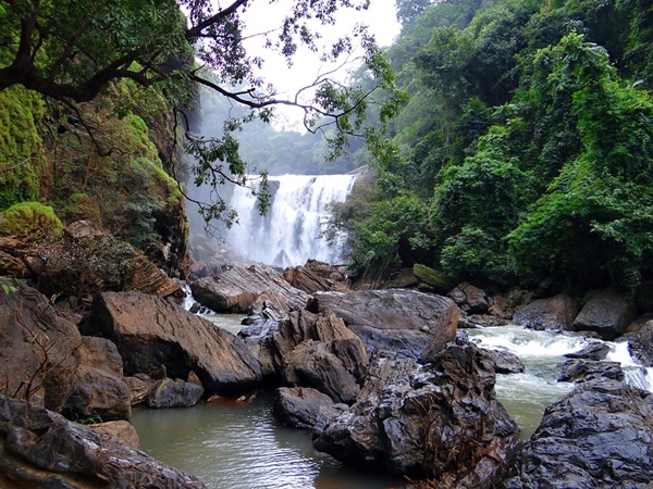 ത്രില്ലടിപ്പിക്കുന്ന നെർസ