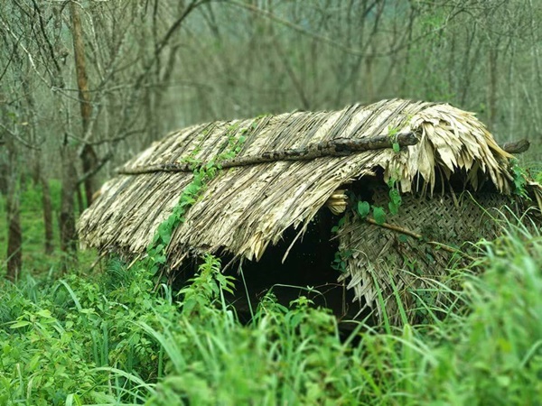 ഫോട്ടോഗ്രഫി