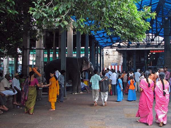 റാണി മഹലിലേക്കുള്ള തുരങ്കം