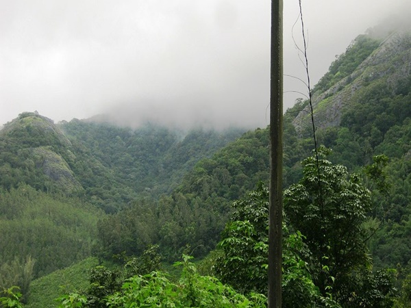 ശെന്തുരുണി വൈൽഡ് ലൈഫ്