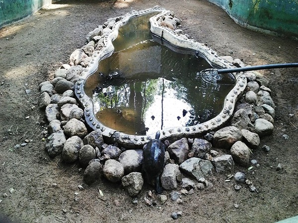 വെല്ലൂരിലെ കാഴ്ചകൾ