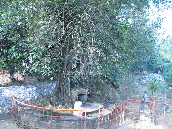 ചങ്ങലമരം