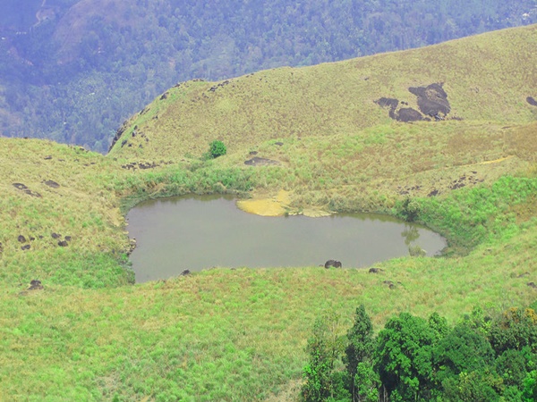 ചെമ്പ്ര പീക്ക്
