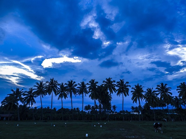 കോയമ്പത്തൂർ